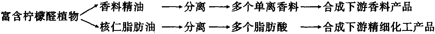 精油及核仁脂肪油综合利用途径